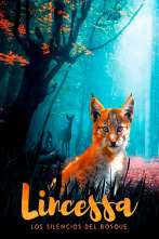 Imagen de Lincessa. Los silencios del bosque - 1