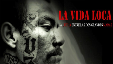 Imagen de La vida loca - 2