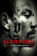 Imagen de La vida loca - 1