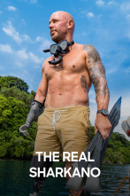 Imagen de The Real Sharkano - 1