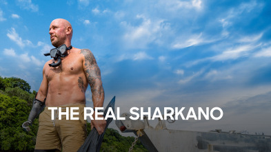 Imagen de The Real Sharkano - 2