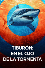 Imagen de Tiburón: en el ojo de la tormenta - 1