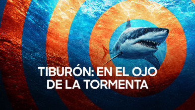 Imagen de Tiburón: en el ojo de la tormenta - 2