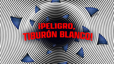 Imagen de ¡Peligro, tiburón blanco! - 2