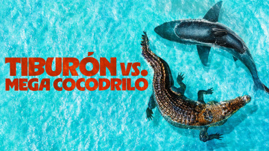 Imagen de Tiburón vs. mega cocodrilo - 2
