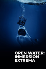Imagen de Open Water: Inmersión extrema - 1