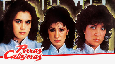 Imagen de Perras callejeras - 2