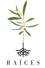 Imagen de Raíces - 1