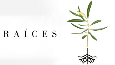 Imagen de Raíces - 2