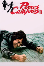 Imagen de Perros Callejeros II - 1