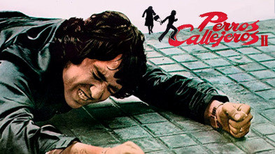 Imagen de Perros Callejeros II - 2