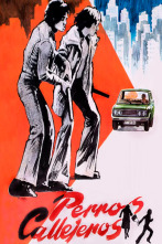 Imagen de Perros callejeros - 1