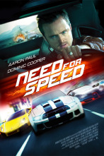Imagen de Need for Speed - 1