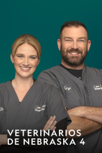 Imagen de Veterinarios de Nebraska (T4) - 1