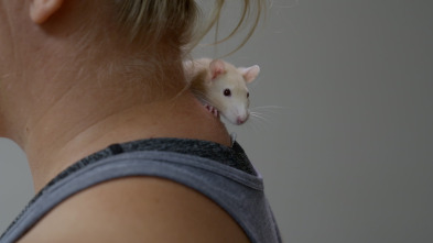 Imagen de Veterinarios de... (T4): Gracias por las Mamás - 1