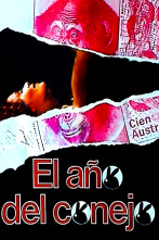 Imagen de El año del conejo - 1