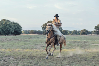 Imagen de Django imbatible - 9