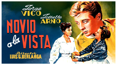 Imagen de Novio a la vista - 2