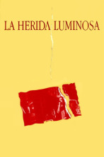 Imagen de La herida luminosa (1997) - 1