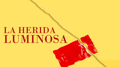 Imagen de La herida luminosa (1997) - 2