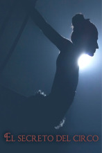 Imagen de El secreto del circo - 1
