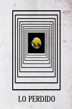 Imagen de Lo perdido - 1