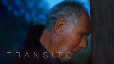 Imagen de Tránsito - 2