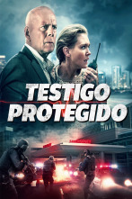 Imagen de Testigo protegido - 1