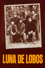 Imagen de Luna de lobos - 1