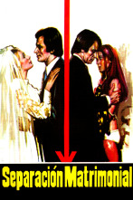Imagen de Separación matrimonial - 1