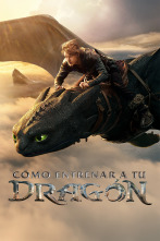 Imagen de Cómo entrenar a tu dragón - 1
