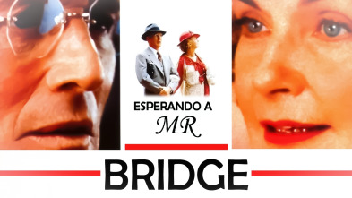 Imagen de Esperando a Mr. Bridge - 2