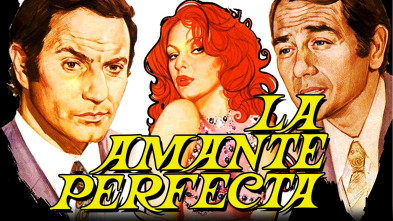 Imagen de La amante perfecta - 2