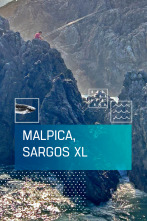 Imagen de Malpica, sargos XL - 1