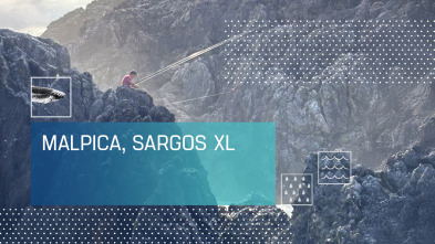 Imagen de Malpica, sargos XL - 2
