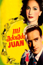 Imagen de Mi adorado Juan - 1