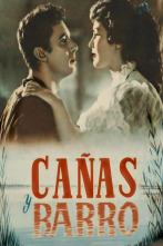 Imagen de Cañas y barro - 1