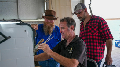 Imagen de Cazadores de gemas: en...: Gemas del mar - 2