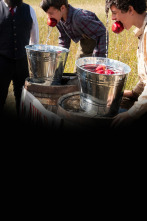 Imagen de Regreso a los orígenes (T1) - 1