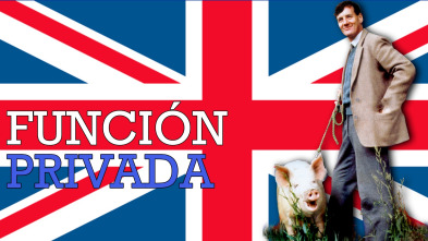 Imagen de Función privada - 2