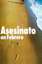 Imagen de Asesinato en febrero - 1