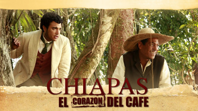 Imagen de Chiapas, el corazón del café - 2