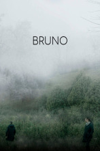 Imagen de Bruno - 1