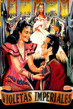 Imagen de Violetas imperiales - 1