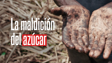 Imagen de La maldición del azúcar - 2
