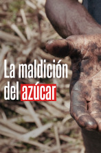 Imagen de La maldición del azúcar - 1