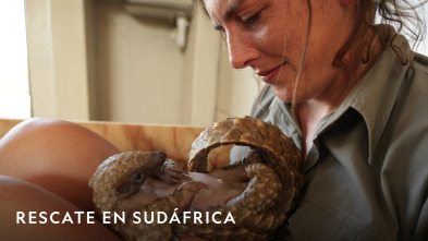 Imagen de Rescate en Sudáfrica  - 4