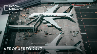 Imagen de Aeropuerto 24/7  - 2