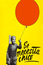 Imagen de Se necesita chico - 1