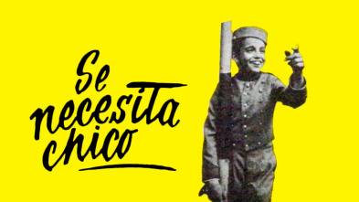 Imagen de Se necesita chico - 2